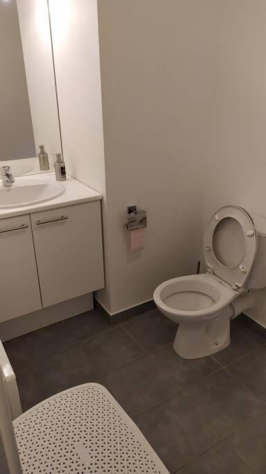 Апартаменты T2 De 42M² A Proximite De La Gare A 30Min De Paris Мант-ла-Жоли Экстерьер фото